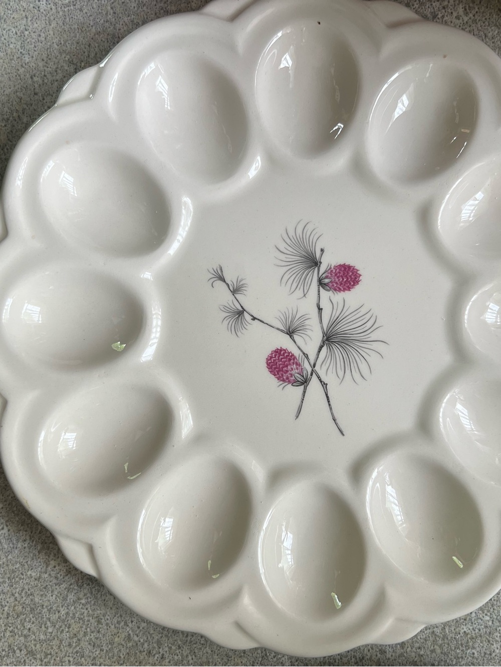 Vintage Mid Century Canonsburg China Wild Clover Deviled Egg Serving Dish